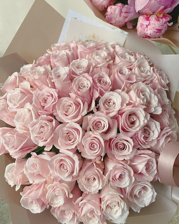Secret Garden's Enchanted Blooms