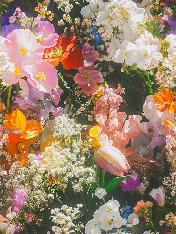 Eternal Sunset Floral Harmony
